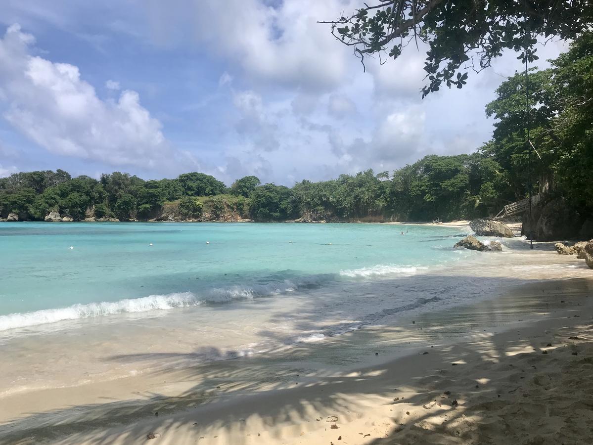Nature In Portland Port Antonio Exteriör bild