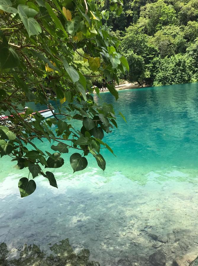 Nature In Portland Port Antonio Exteriör bild