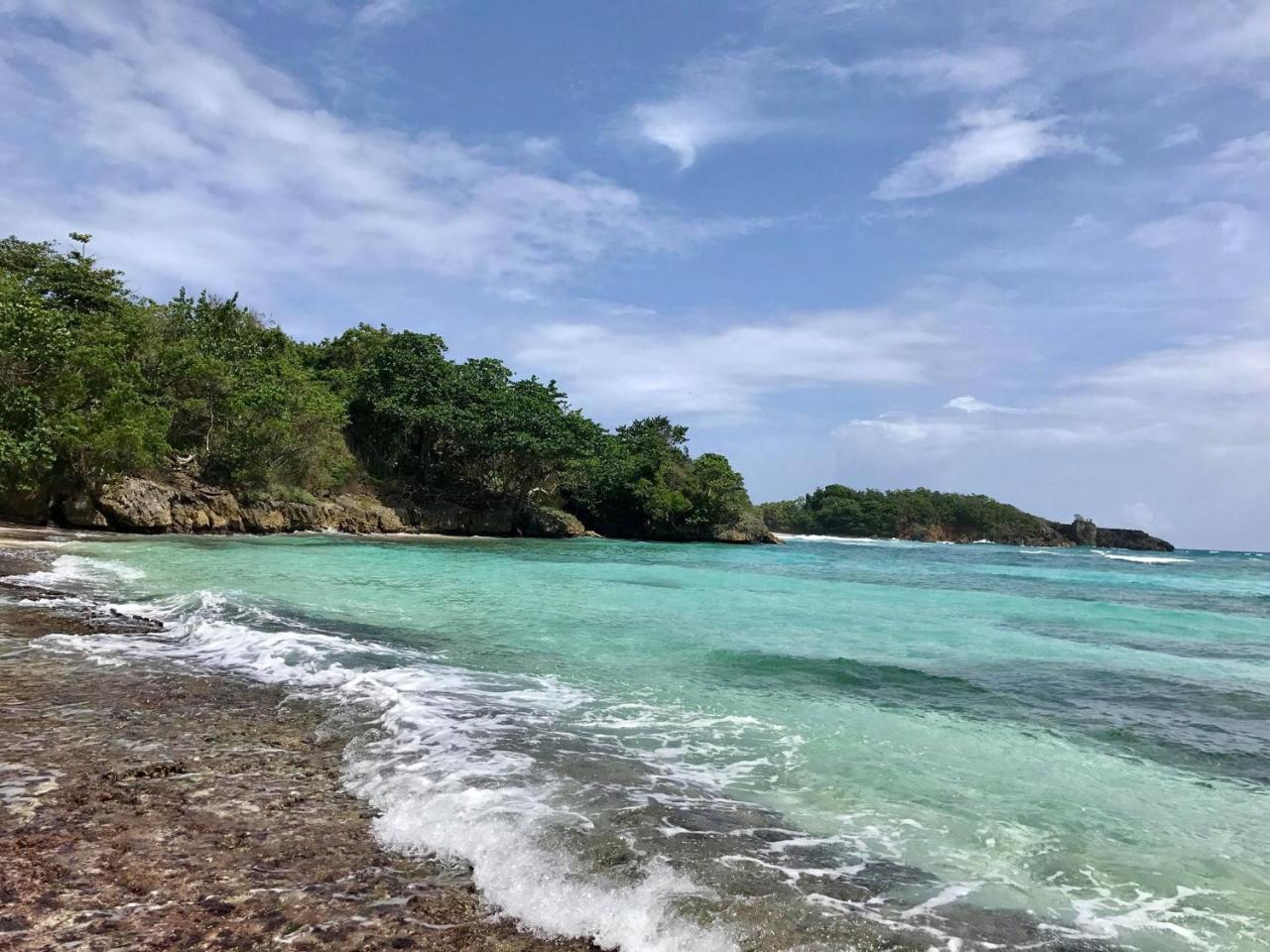 Nature In Portland Port Antonio Exteriör bild